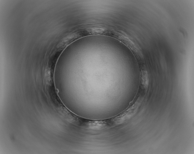 X0000113180378200909041348