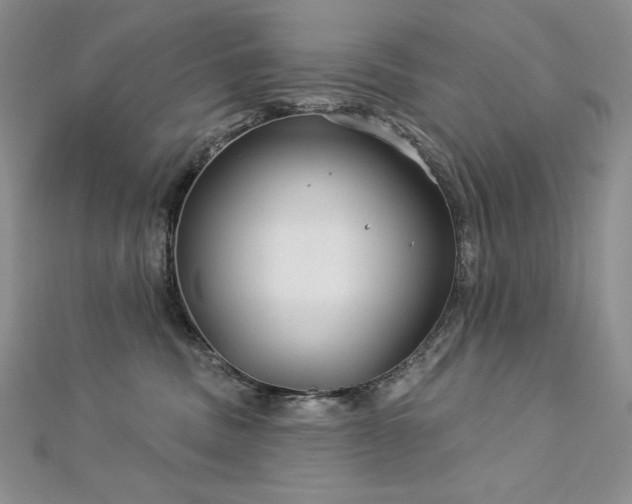 X0000113180379200909041348