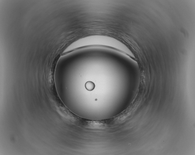 X0000113180380200909041348