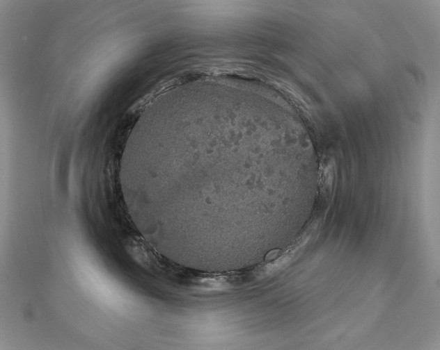 X0000113180381200909041348