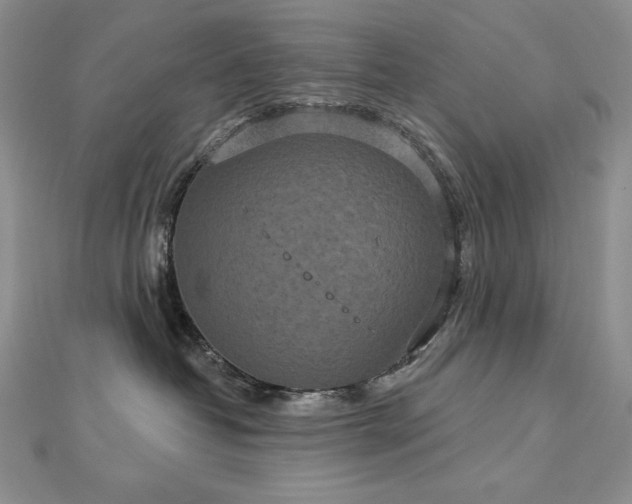 X0000113180382200909041348