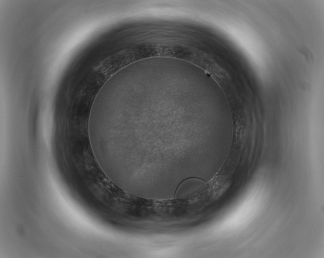X0000113180383200909041348