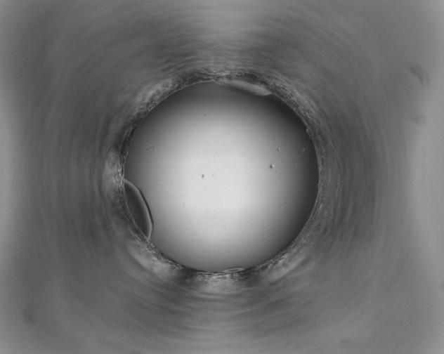 X0000113180384200909041348