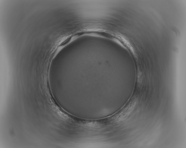 X0000113180385200909041348