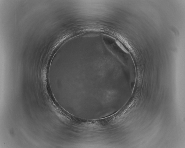 X0000113180386200909041348