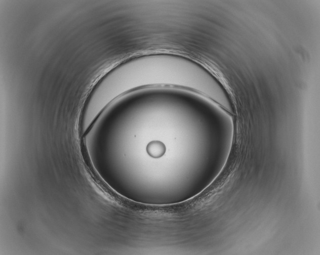 X0000113180389200909041348