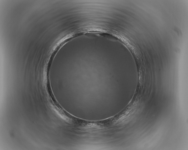 X0000113180390200909041348