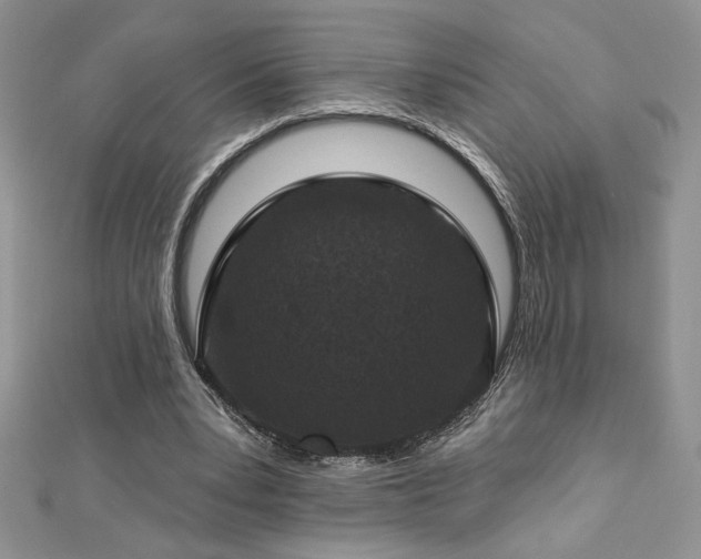 X0000113180391200909041348