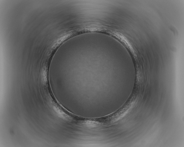 X0000113180393200909041348