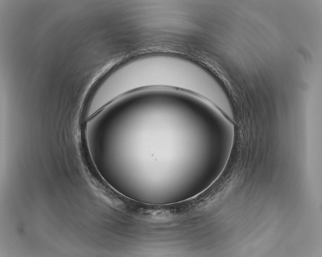 X0000113180395200909041348