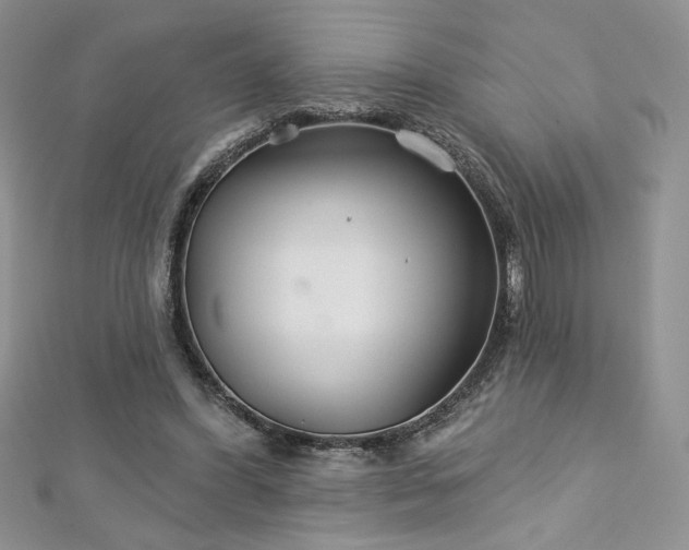 X0000113180396200909041348