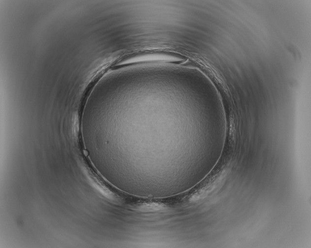 X0000113180397200909041347
