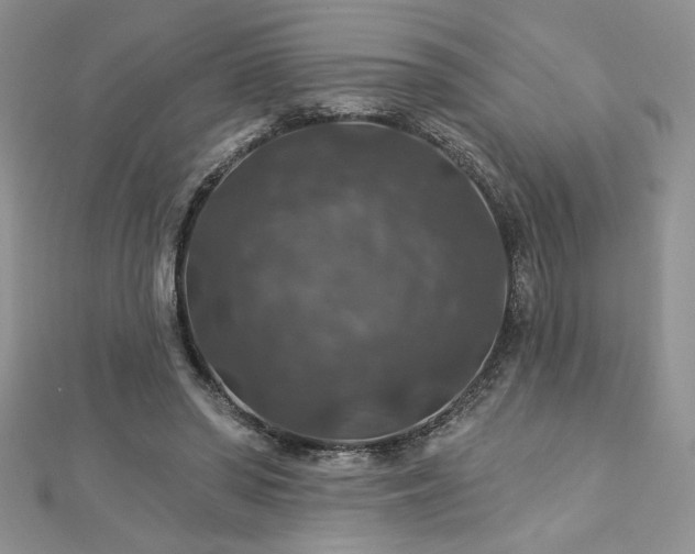 X0000113180398200909041347