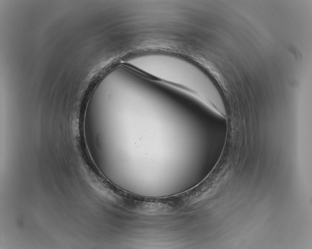 X0000113180399200909041347