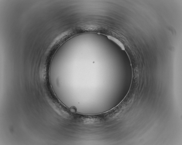 X0000113180400200909041347