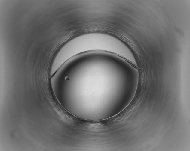X0000113180401200909041347