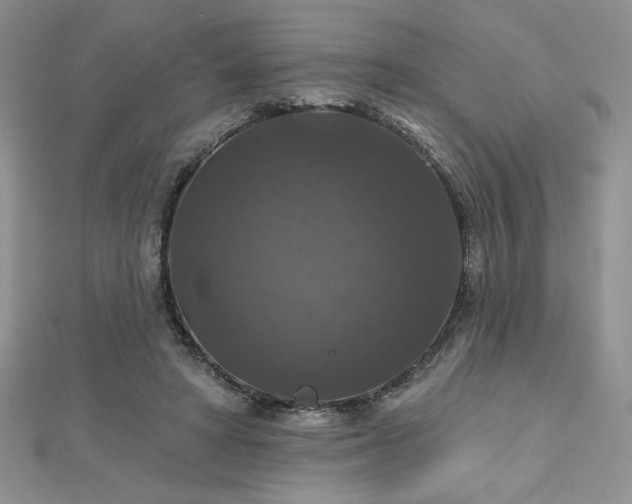 X0000113180402200909041347
