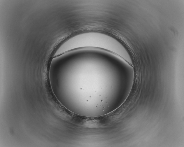 X0000113180403200909041347