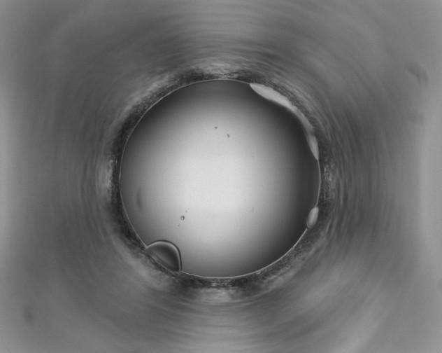 X0000113180404200909041347