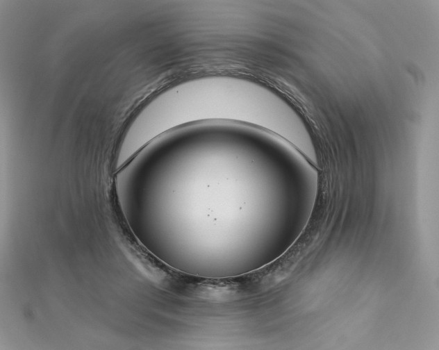 X0000113180405200909041347