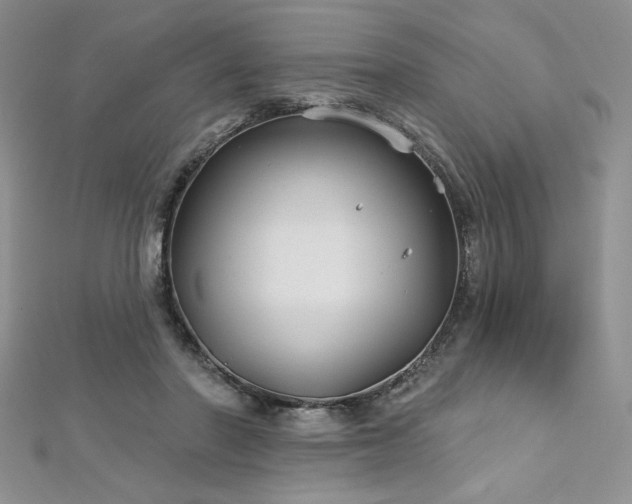 X0000113180406200909041347