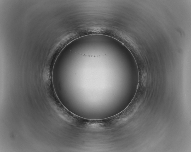 X0000113180407200909041347