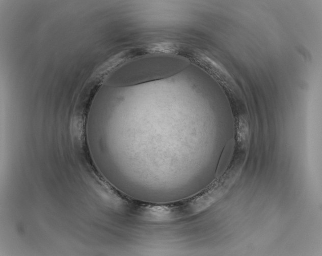 X0000113180409200909041347