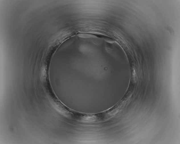X0000113180410200909041347