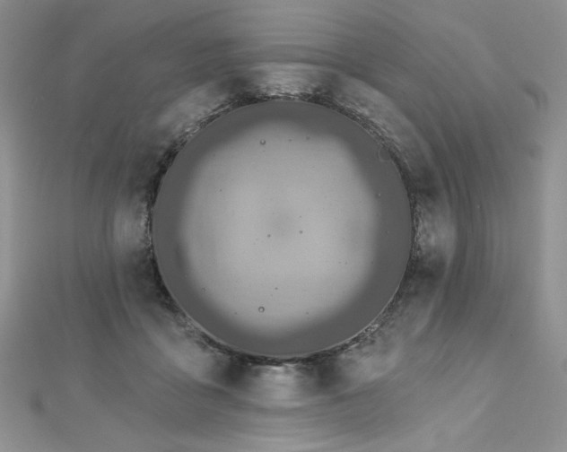 X0000113180411200909041347
