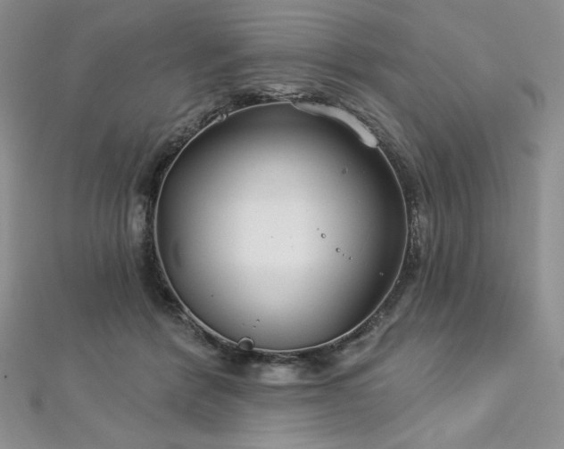 X0000113180412200909041347