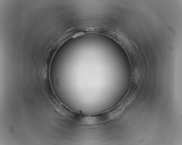 X0000113180413200909041347
