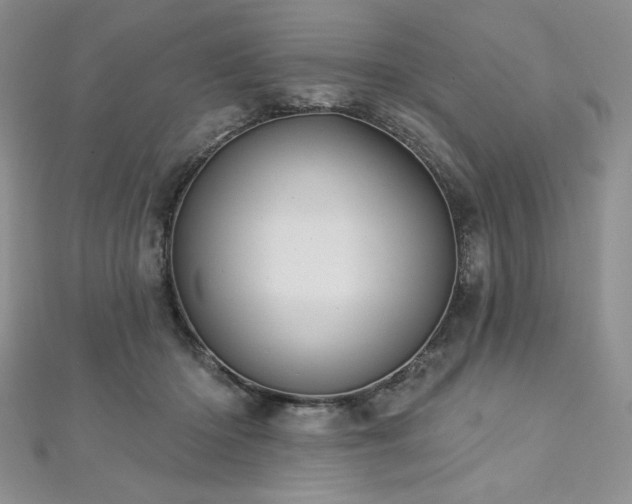 X0000113180414200909041347