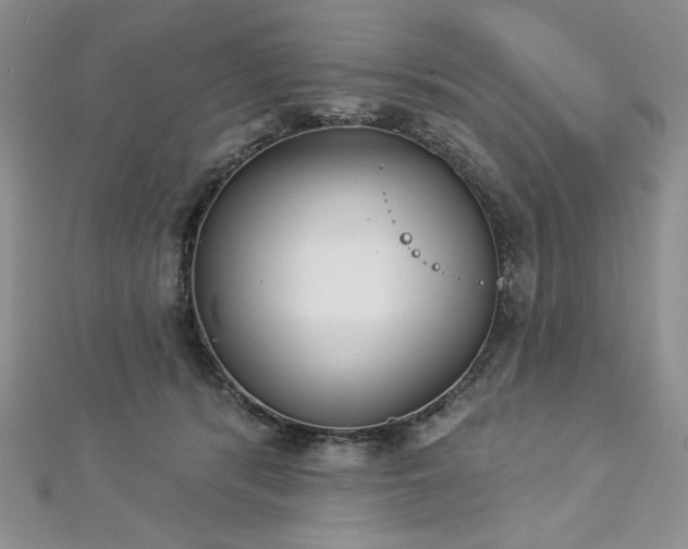 X0000113180416200909041347