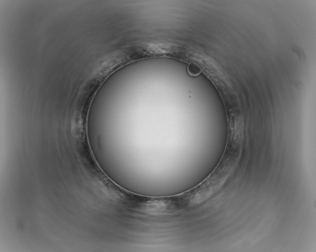 X0000113180418200909041347