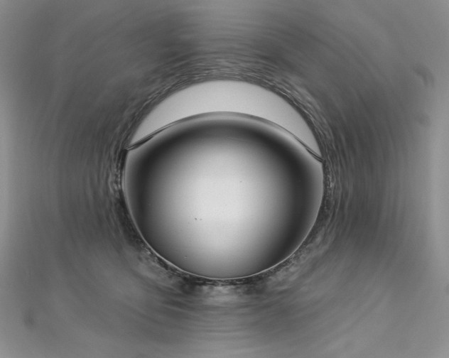 X0000113180419200909041347