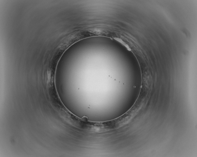 X0000113180420200909041347