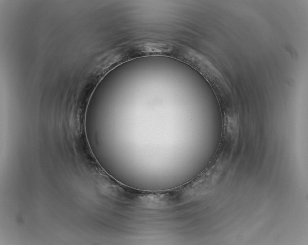 X0000113180422200909041347