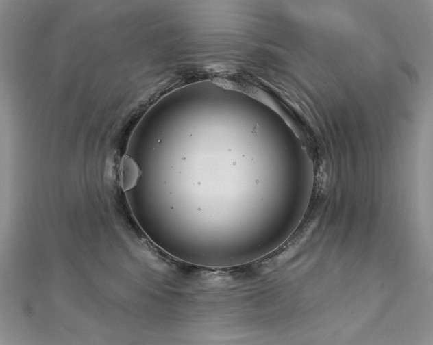 X0000113180424200909041347