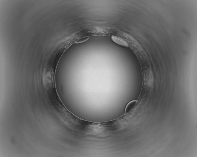 X0000113180425200909041347