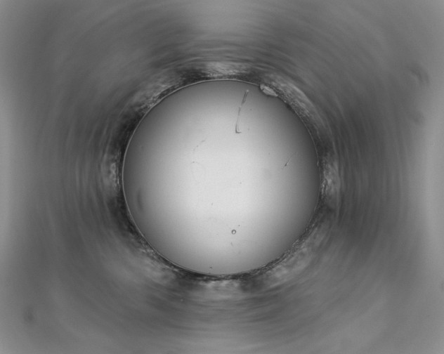 X0000113180426200909041347