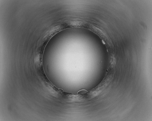 X0000113180428200909041347