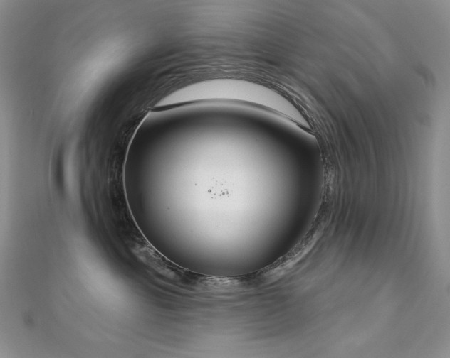X0000113180429200909041347