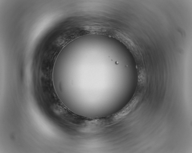 X0000113180430200909041347