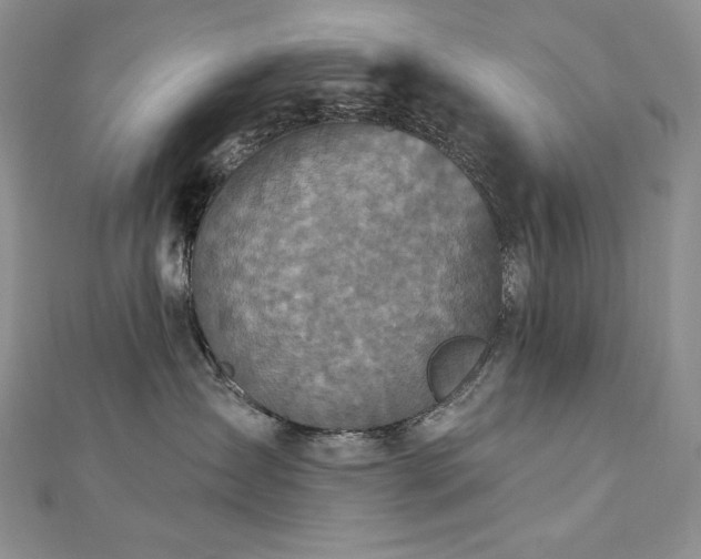 X0000113180431200909041347