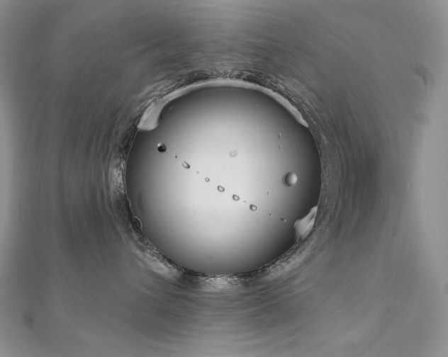 X0000113180432200909041347