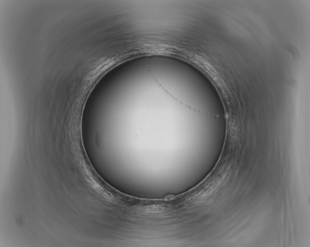 X0000113180433200909041346