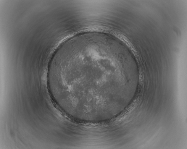 X0000113180434200909041346