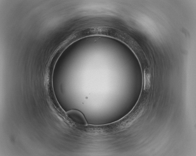 X0000113180435200909041346
