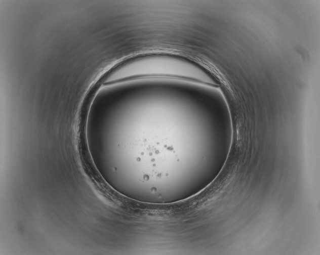 X0000113180436200909041346