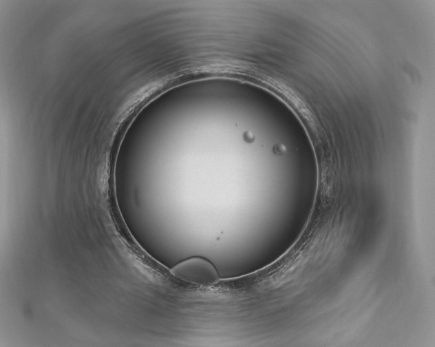 X0000113180437200909041346